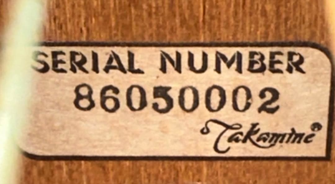 Takamine F340S タカミネ Lawsuit