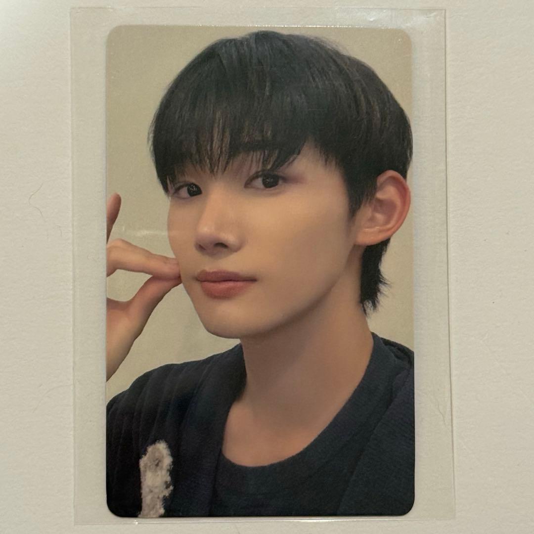 &TEAM 雪明かり 点灯式 ショーケース ショケ JO