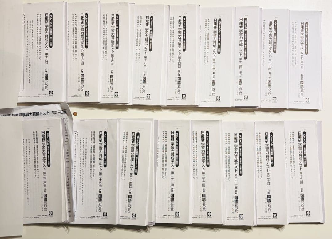 日能研学習力育成テスト6年前期フルセット2024年4教科