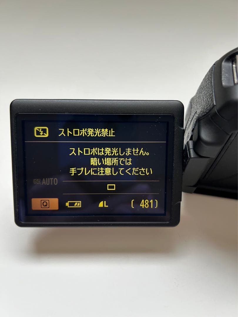 があとCanon EOS Kiss X5