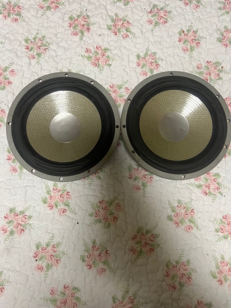 Daimond speaker ダイヤモンドスピーカー