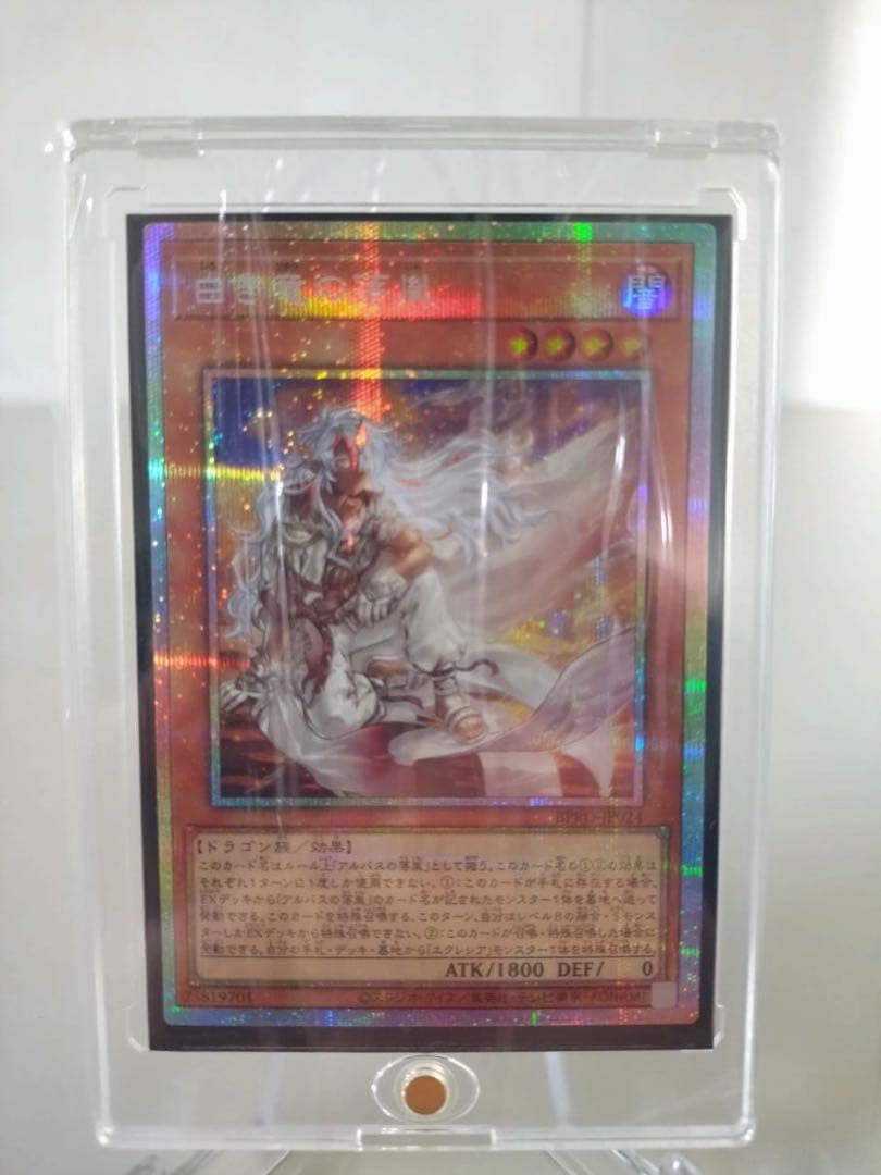 遊戯王　白き竜の落胤【プリシク】