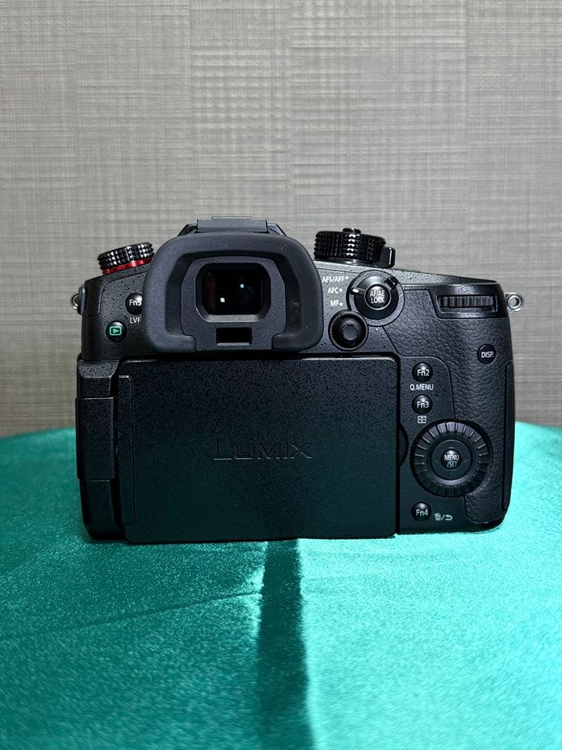 Panasonic LUMIX GH5S 本体　ミラーレス一眼 ☆美品・完動品