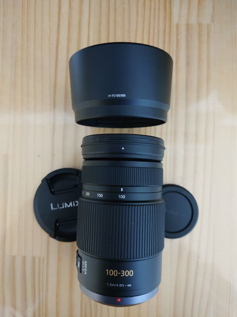 LUMIX ルミックス 100-300mm 4.0-5.6 H-FS100300