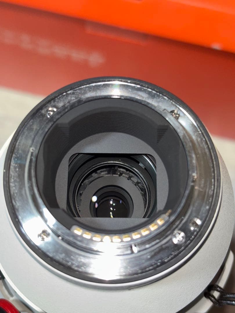 ソニー　SONY FE 200-600mm F5.6-6.3 G OSS