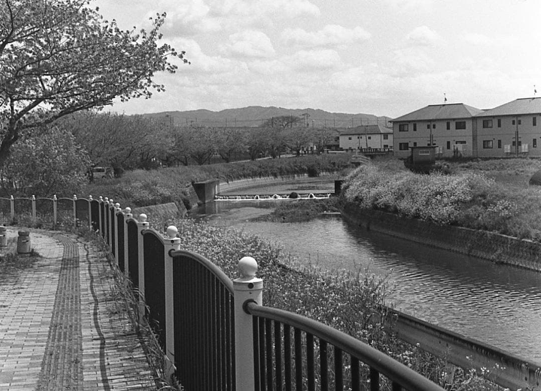 【整備済完動美品】Olympus-PEN F/F.Zuikoレンズ