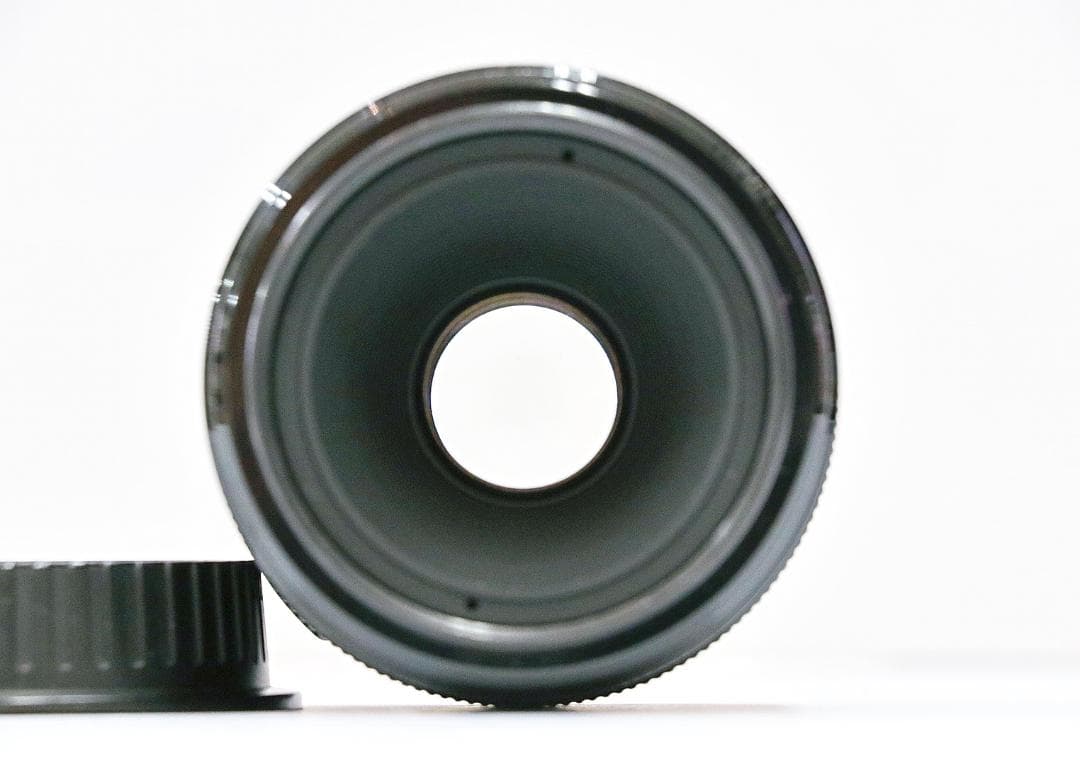 【人気】Canon EF 50mm f/2.5 Compact Macro