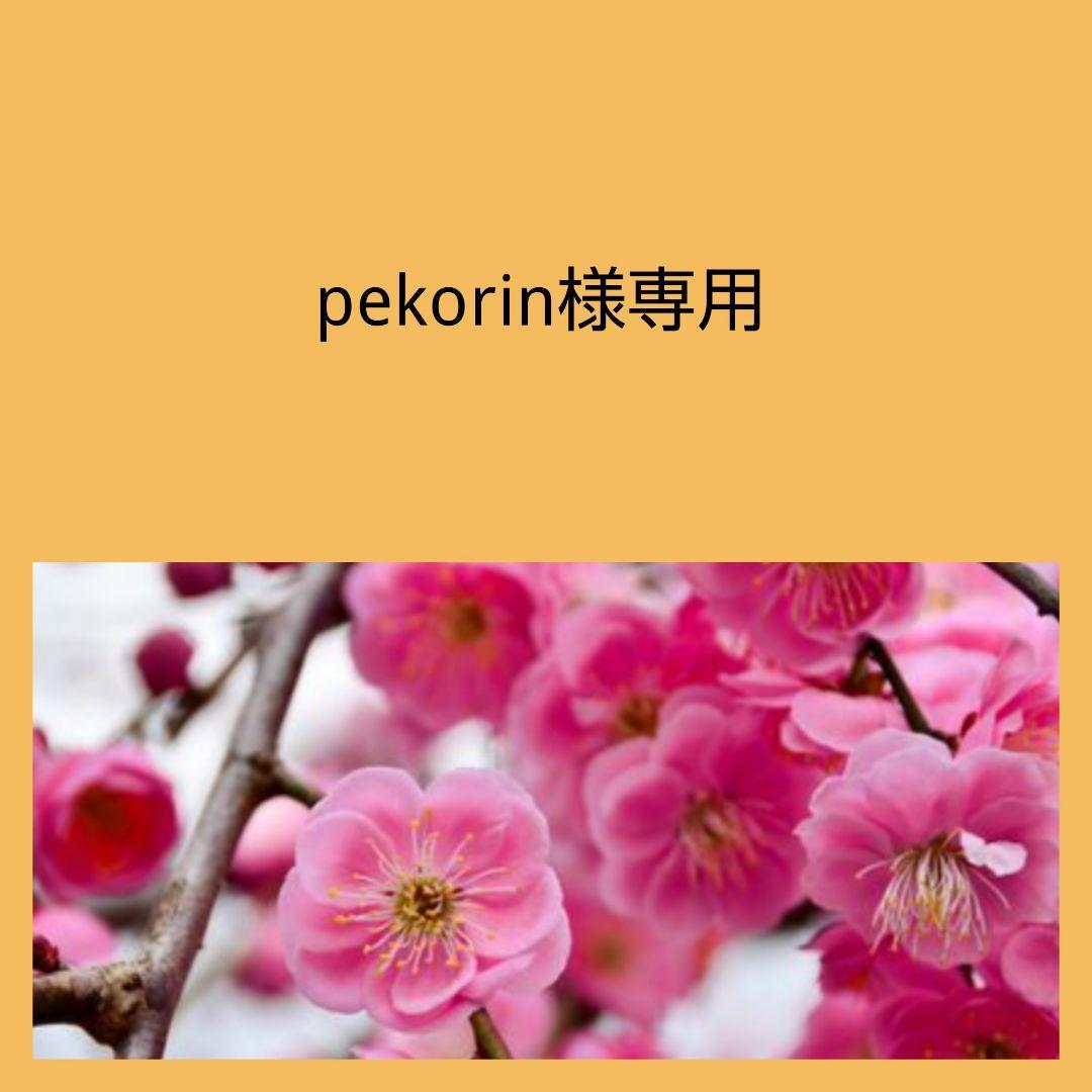 2/8 専用ページ 合計11点 K18チャーム