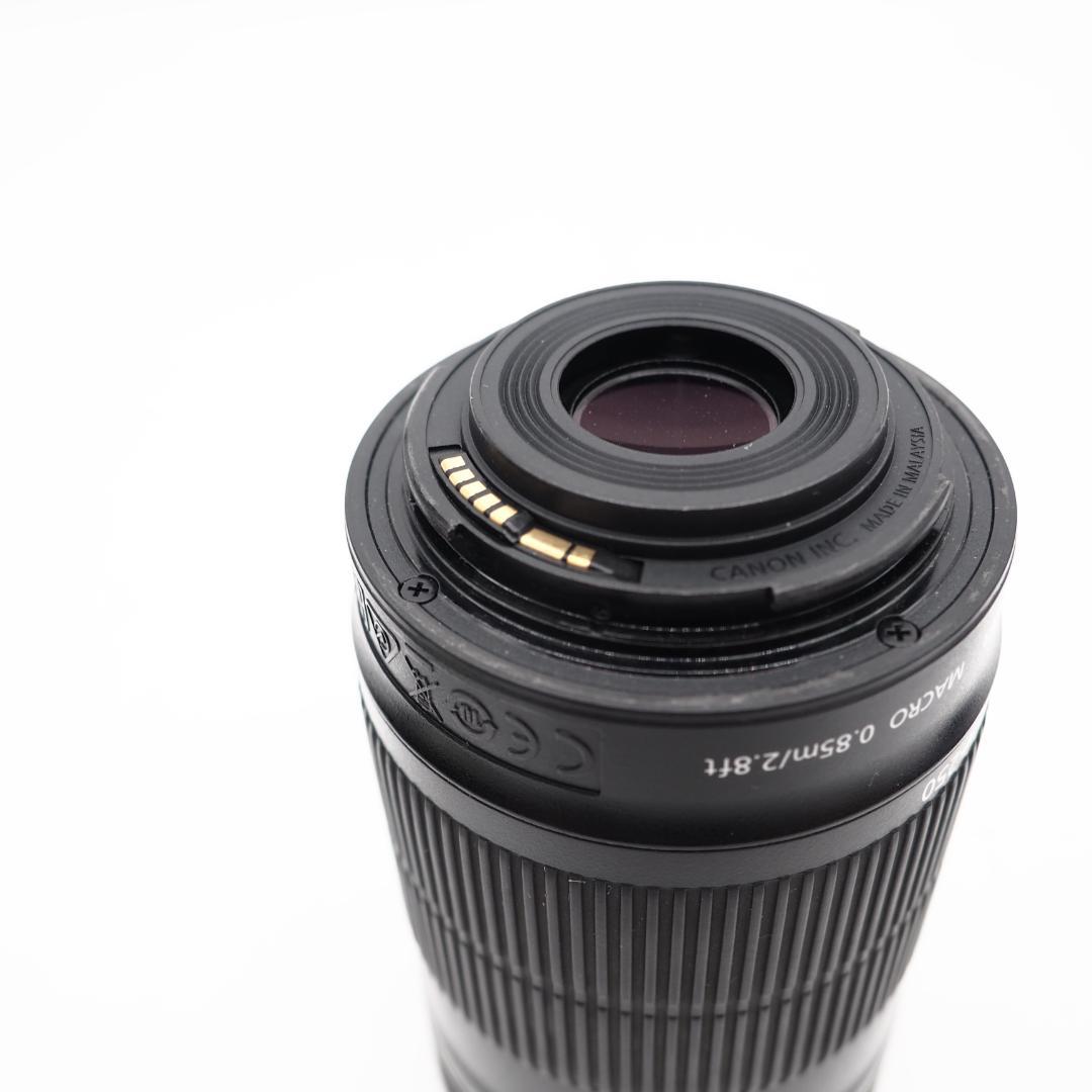 Canon EF-S 55-250mm F4-5.6 IS STM ①