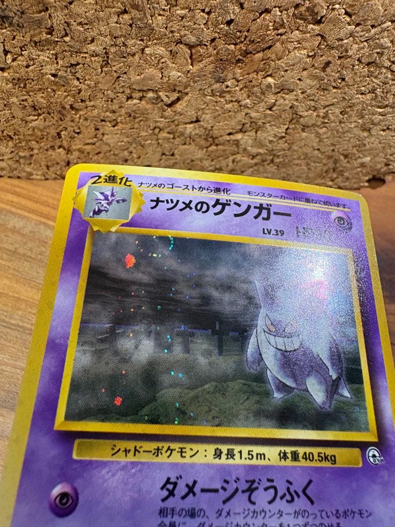 ナツメのゲンガー lv.39×1