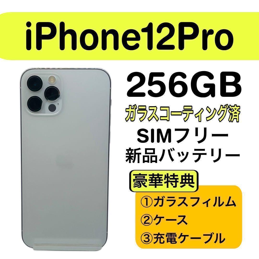 ⭐️美品⭐️ iPhone 12 Pro 256GB シルバー SIMフリー
