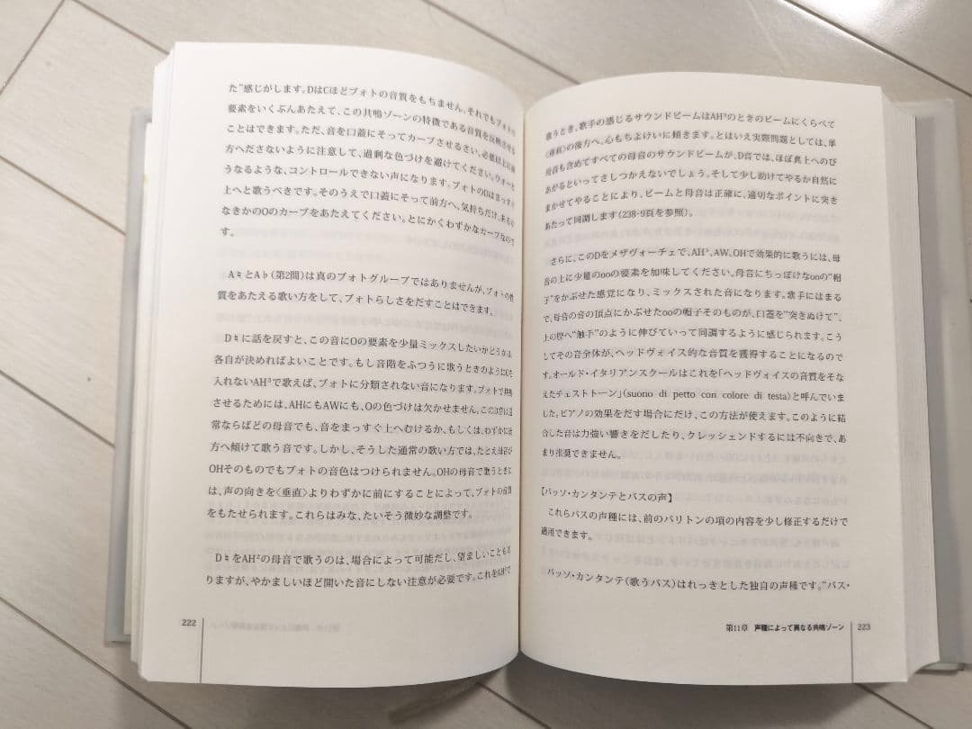 ザ・ボイスオブザマインド　 E. Herbert-Casart