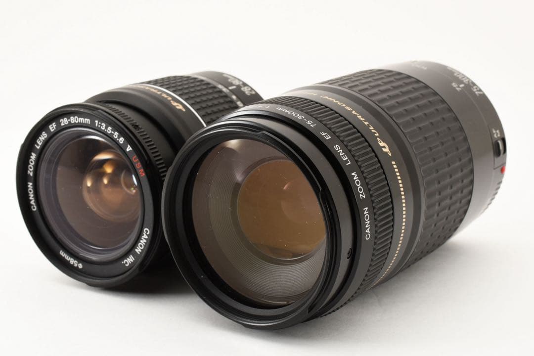 美品 Canon EOS Kiss X9i 標準&望遠ダブルレンズセット