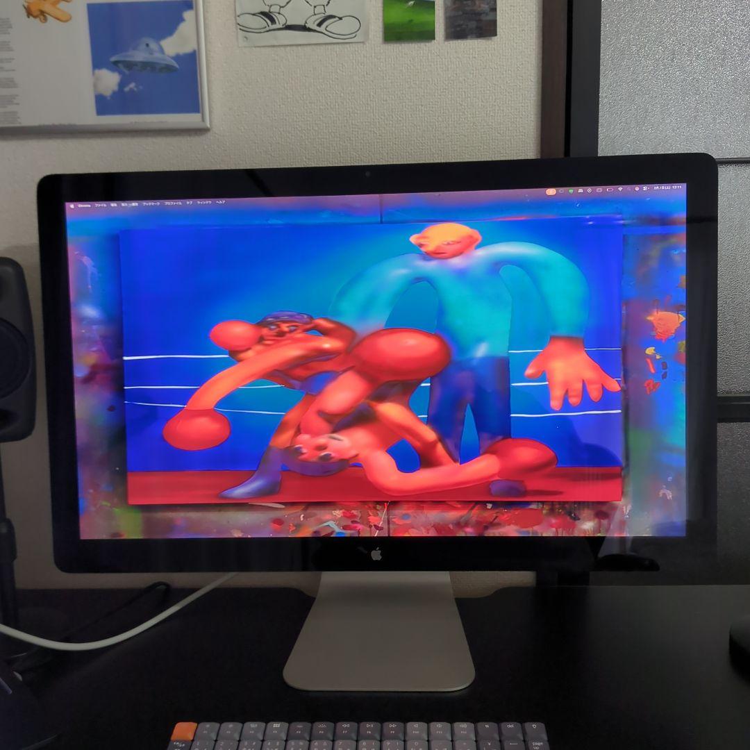 Apple Thunderbolt Display Type C変換ケーブル付