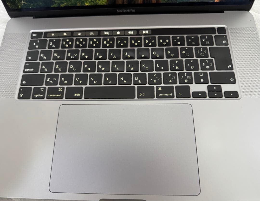 v*9様 MacBook Pro 16インチ（2019年モデル）i9 intel