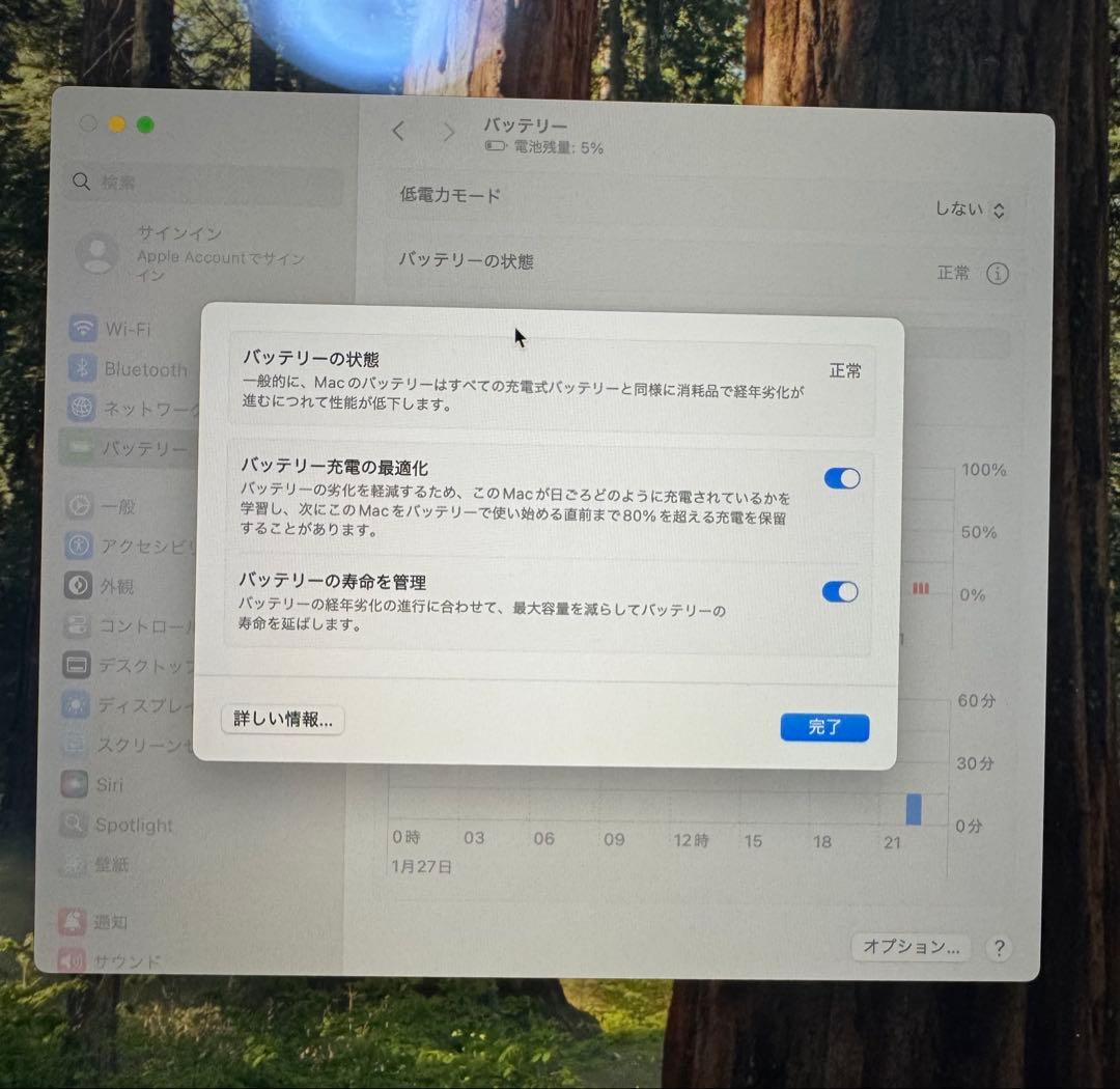 v*9様 MacBook Pro 16インチ（2019年モデル）i9 intel