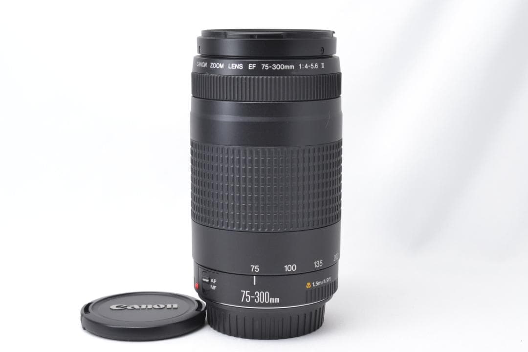 キャノン Canon EF 75-300mm F4-5.6 Ⅱ 望遠レンズ