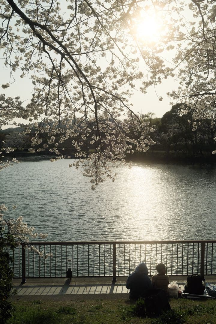 レンズ(単焦点) XF23mmF1.4 R LM WR + LH-XF 23-2