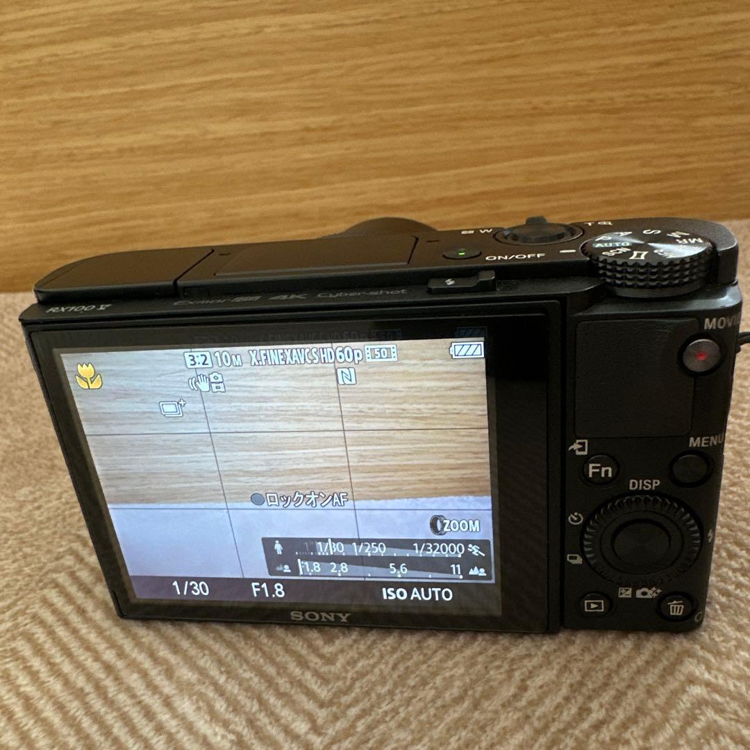 SONY DSC-RX100M5 デジカメ 本体+おまけ