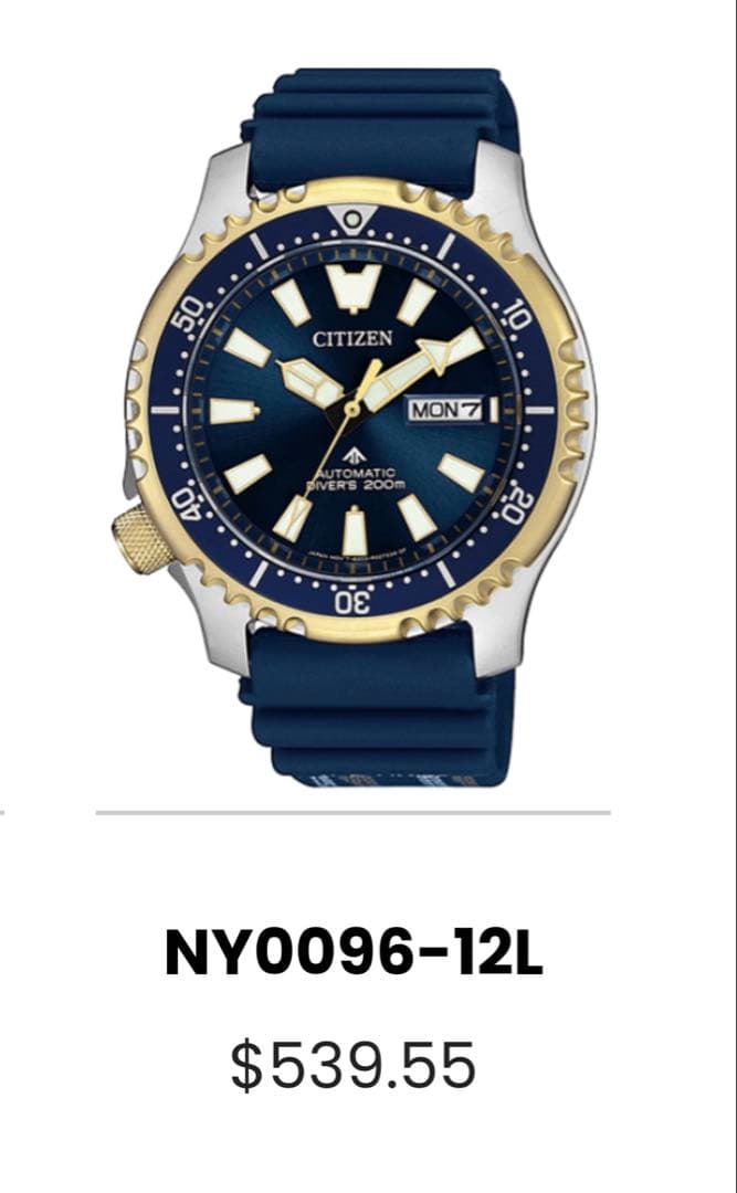 てつCITIZE巻き 限定 ダイバー 防水 ウレタン NY0096-12L