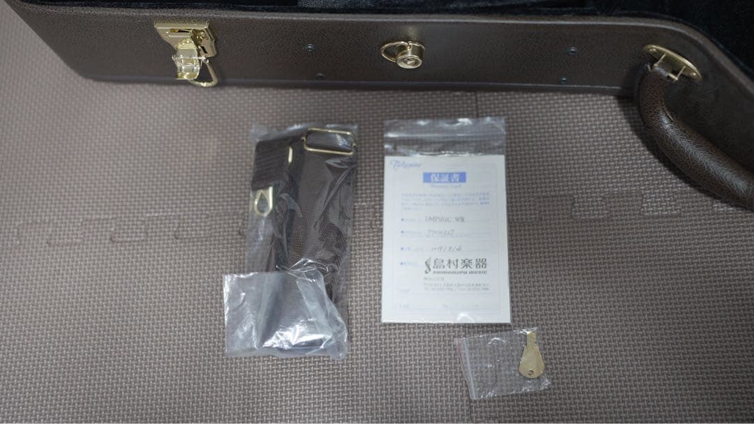 ギター Takamine DMP551C WR