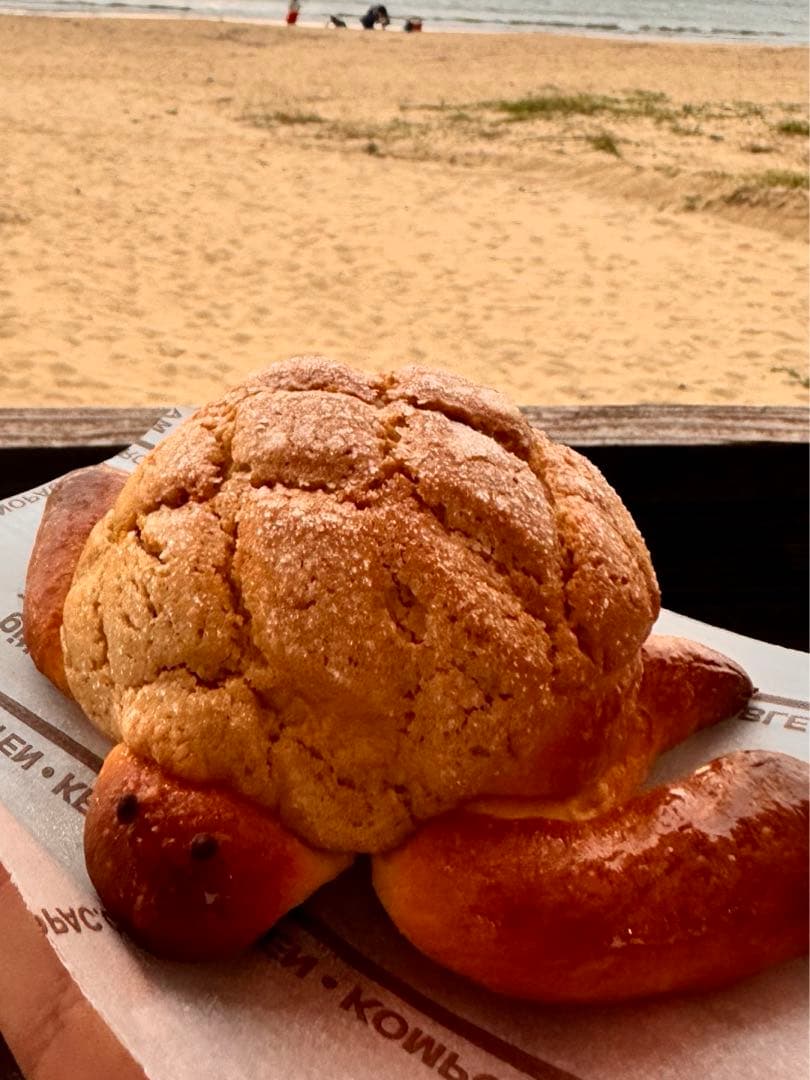 。、。、。専用