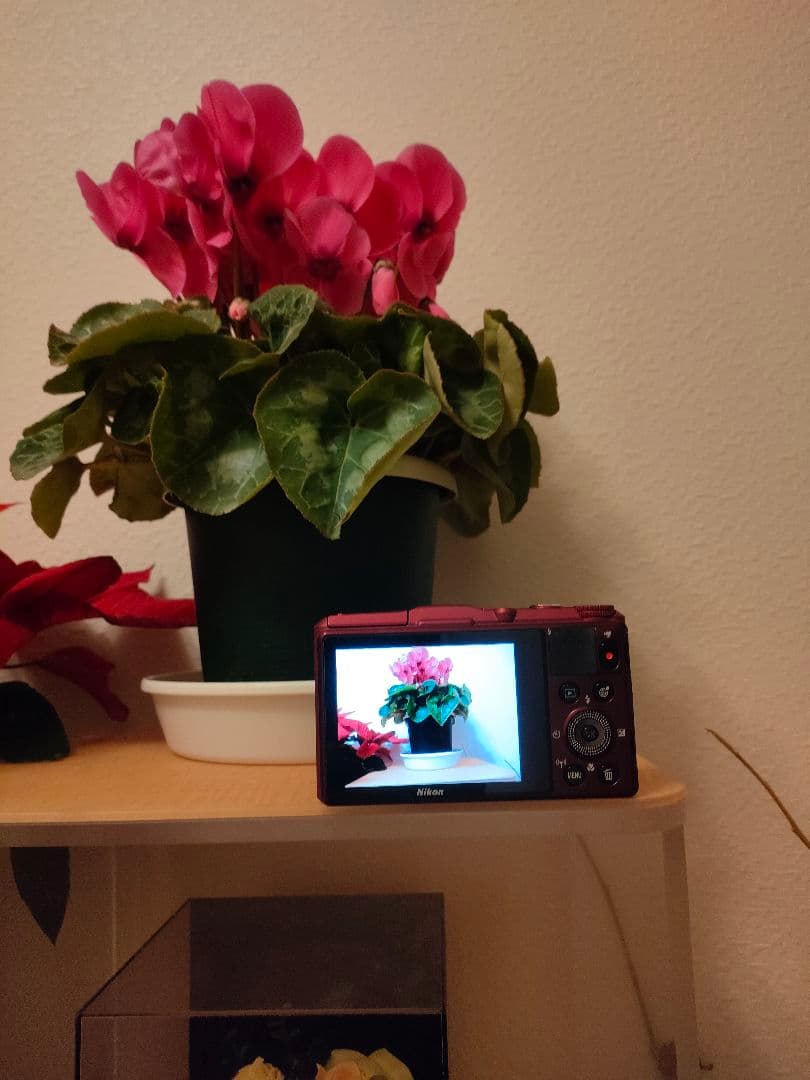 正規　ニコン Nikon COOLPIX S9700 デジカメ 稼働品