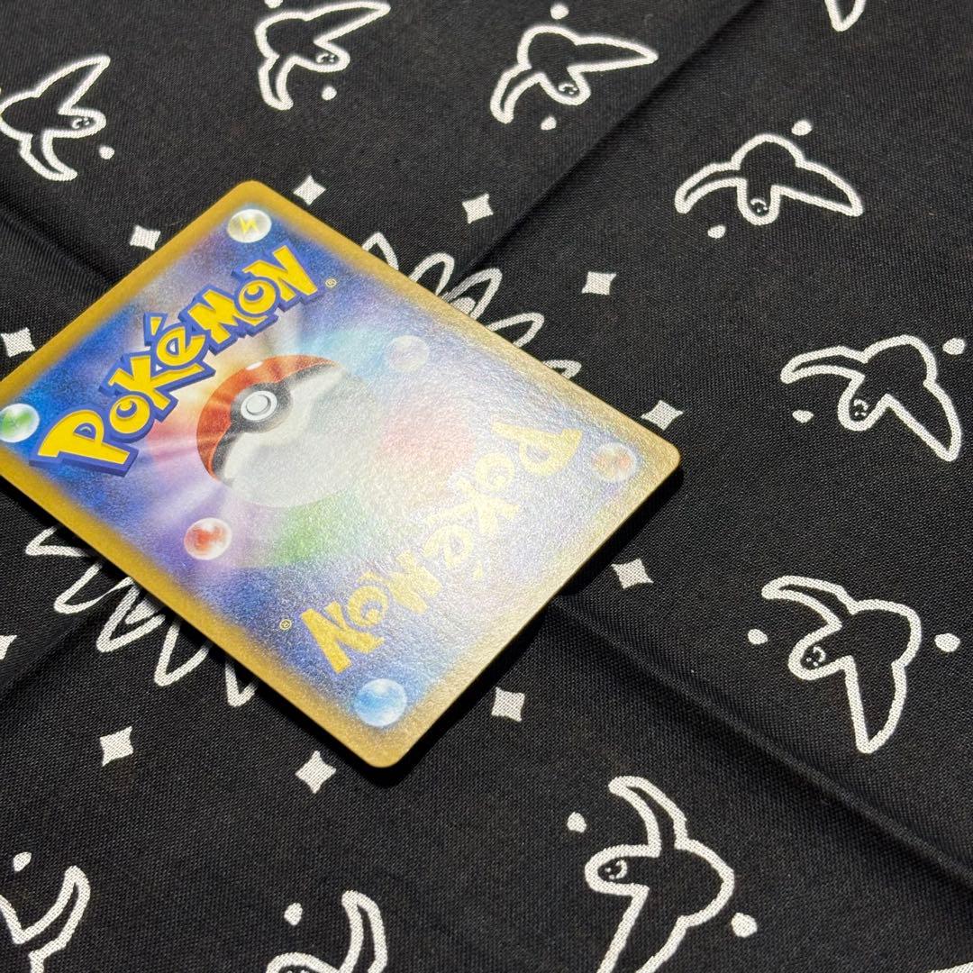 リーリエの決心 SAR 091/095