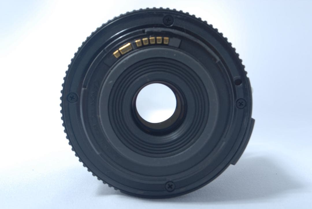 キャノン 一眼レフ Canon EOS 7D Mark II ダブル 望遠レンズ