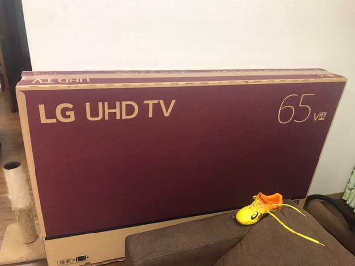 テレビ65v型LG