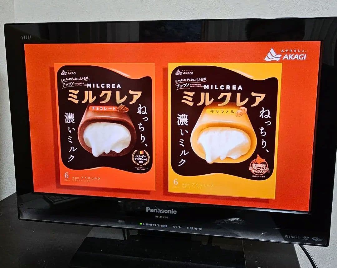 Panasonic 2012年製 19インチ液晶テレビ TH-L19X3