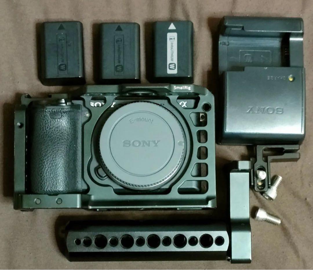 SONYα6500ボディ　ショット数7855枚　付属品多数