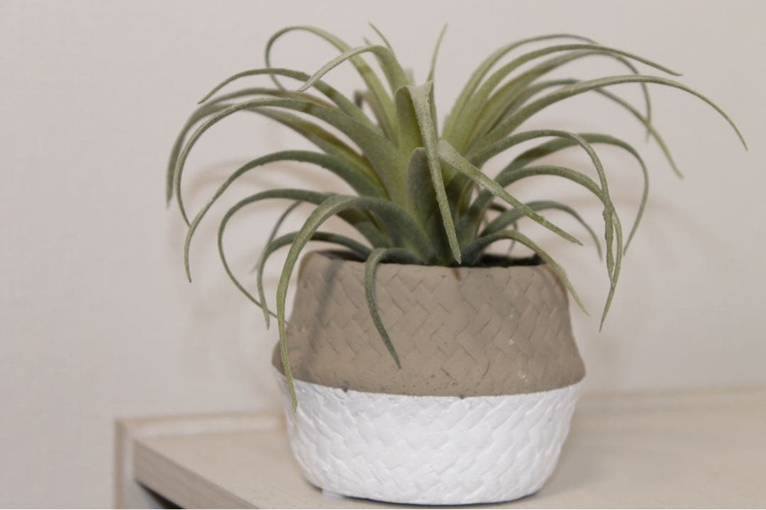 ✨シャッター数少なめ✨Canon kiss X50 手ぶれ補正 バック付き