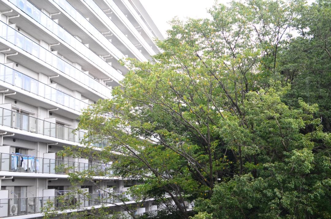 Nikon NIKKOR 28mm 1:3.5 Fマウントフィルムカメラレンズ