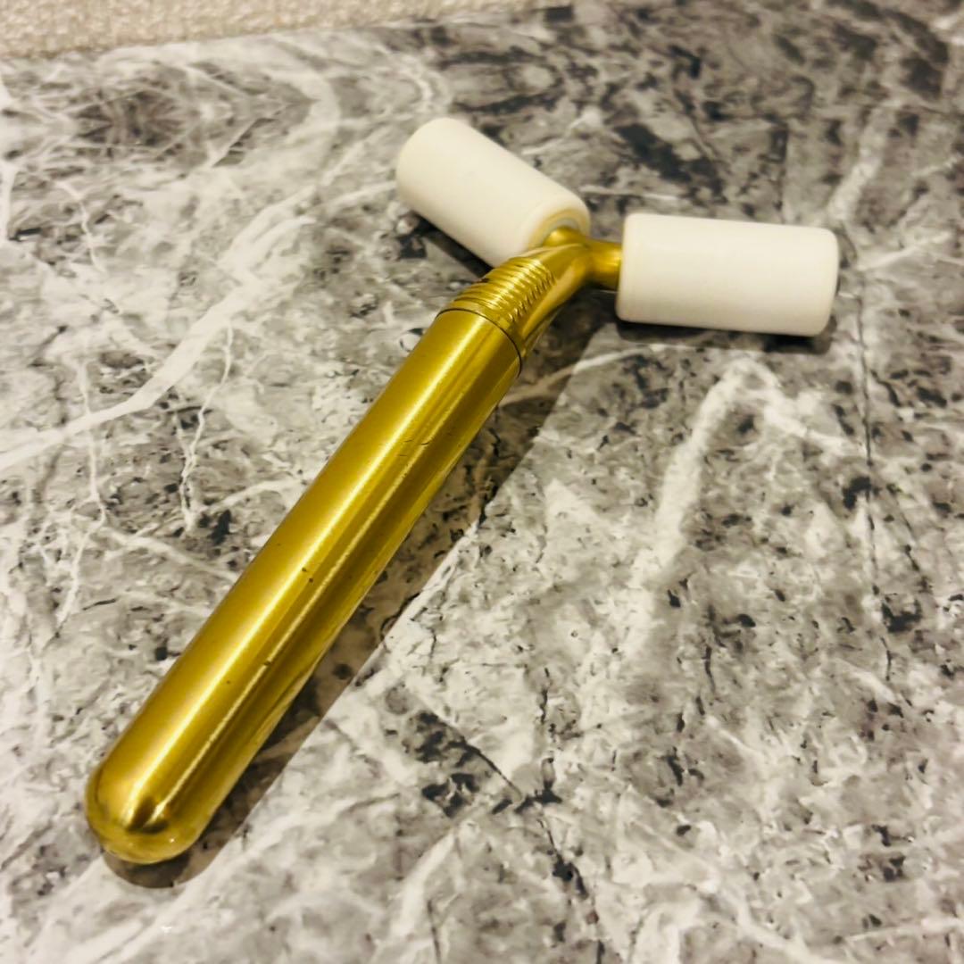 VEGA イオンローラー