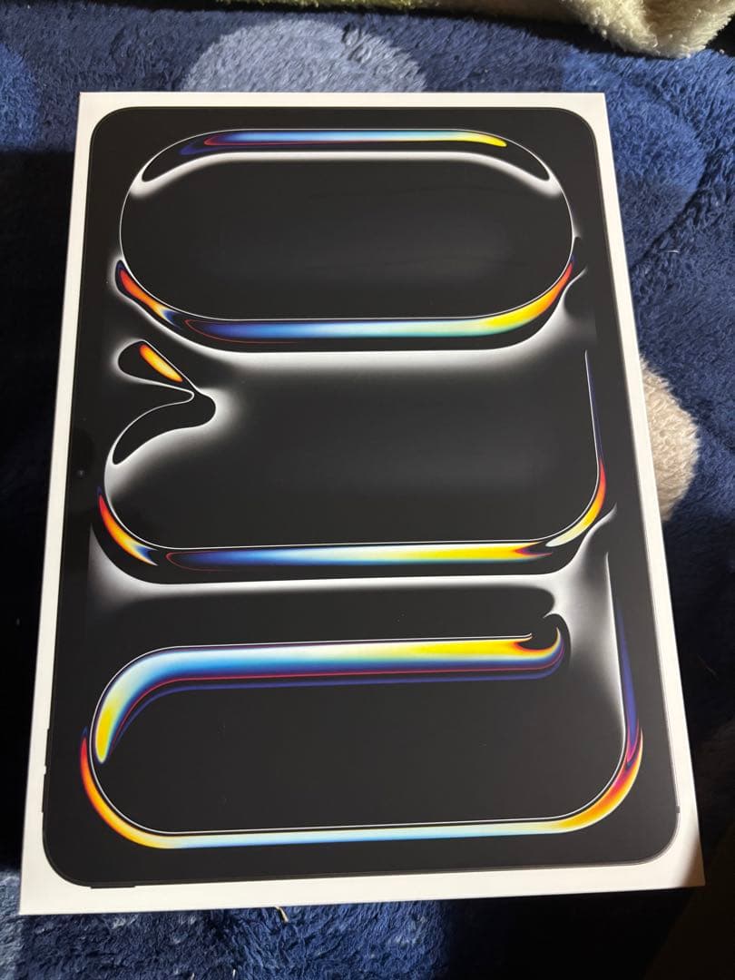 iPadPro11inch 256GB 5世代 WiFiモデル