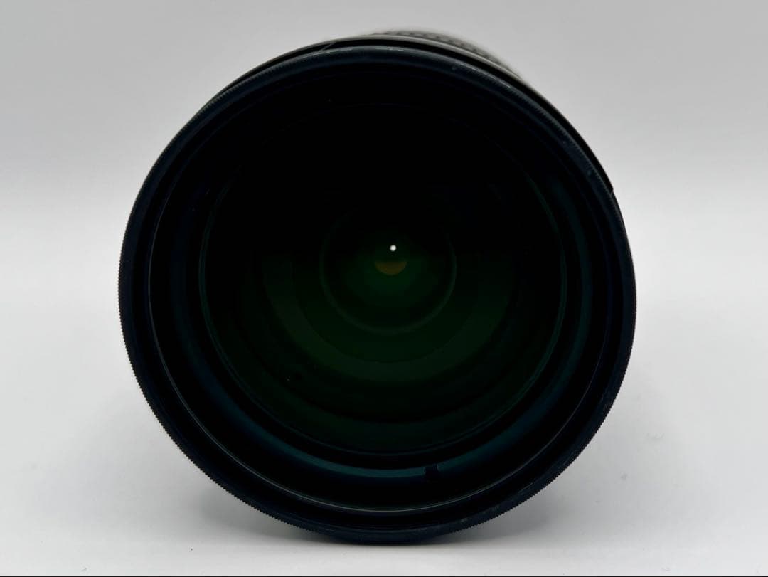 ニコンAF-S DX NIKKOR 18-200 F3.5-5.6G #14