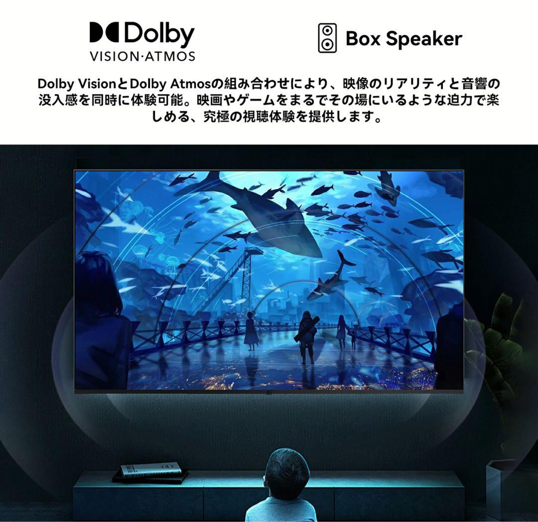 FPD 65V 4K UHD 液晶テレビ Google TV