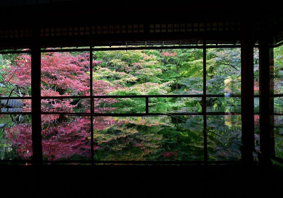 TAMRON A037 17-35mm ニコンfマウント