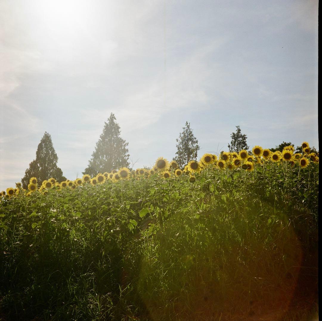 Rolleiflex Flex 二眼レフカメラ