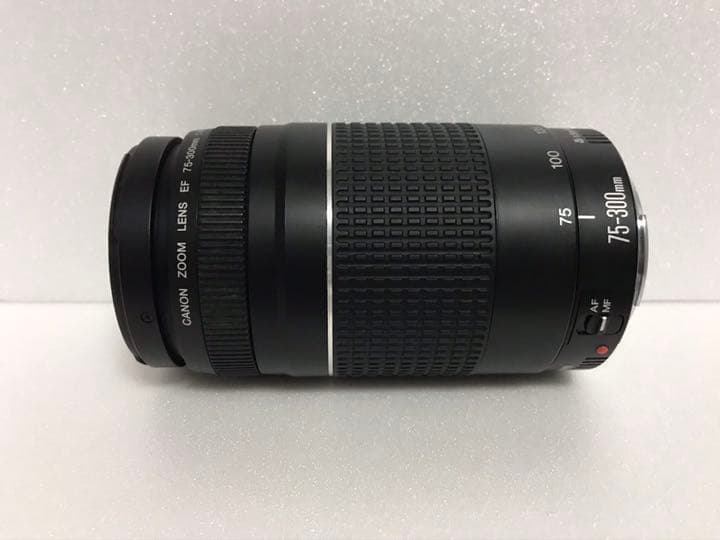 大迫力の300㎜☆ イベント☆キャノン Canon EF75-300㎜