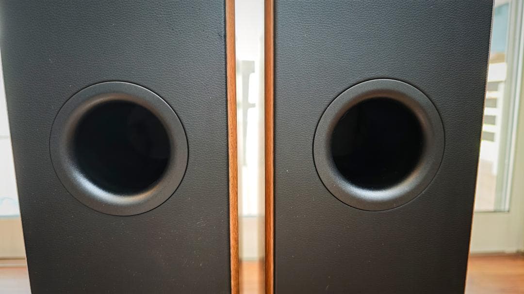 オーディオ プロ audiopro AVANTO FS-20 ペアセット