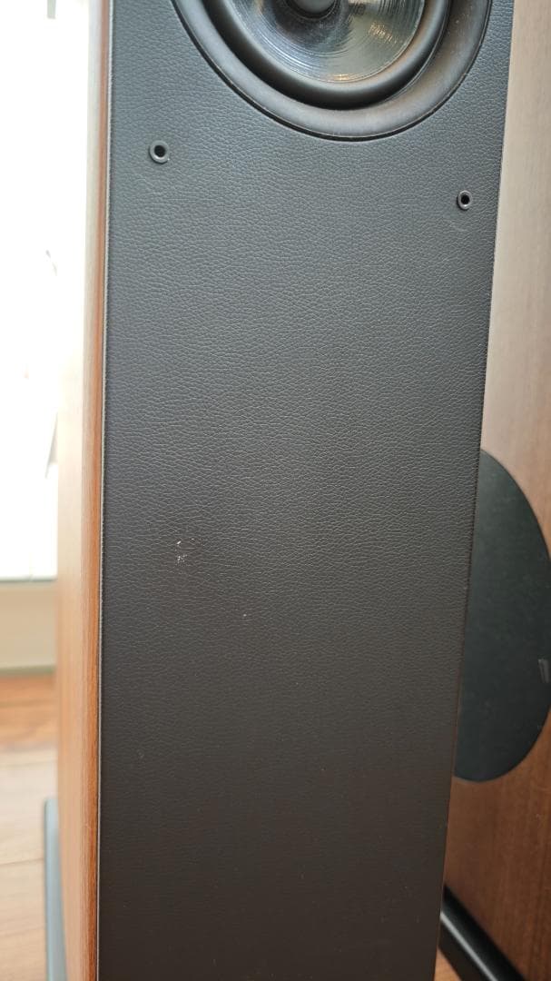 オーディオ プロ audiopro AVANTO FS-20 ペアセット