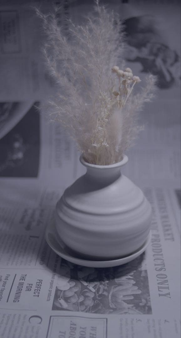 レア？　ALPA 28mm f2.8 PENTAX Kマウント