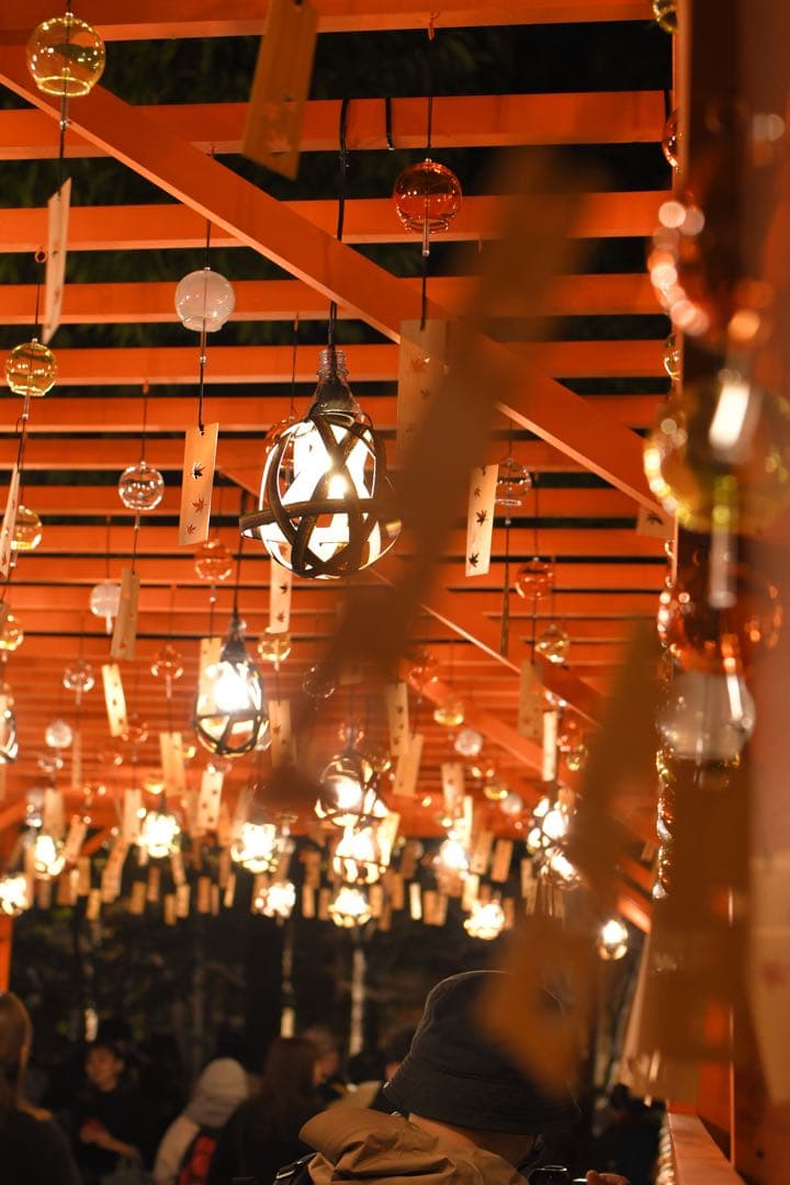 Nikon D7500 レンズセット