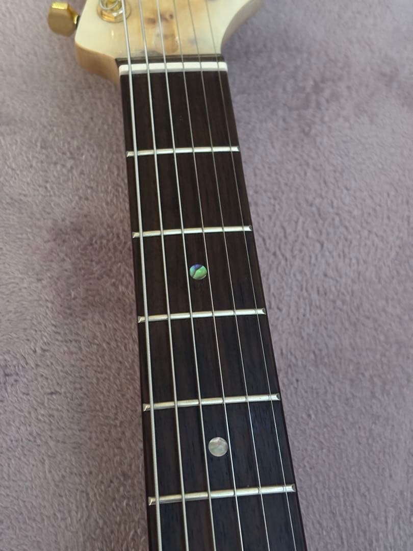 Bacchus TACTICS-BP/R BD-B テレキャスタータイプ