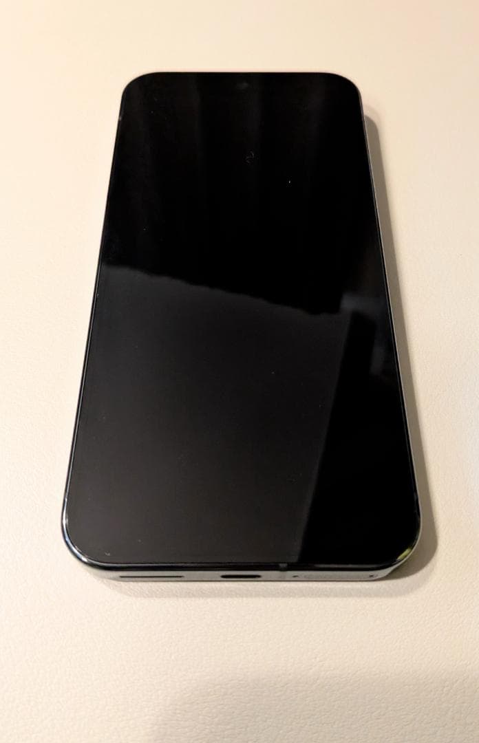 Google Pixel 9 Pro XL Obsidian 256GB 本体等