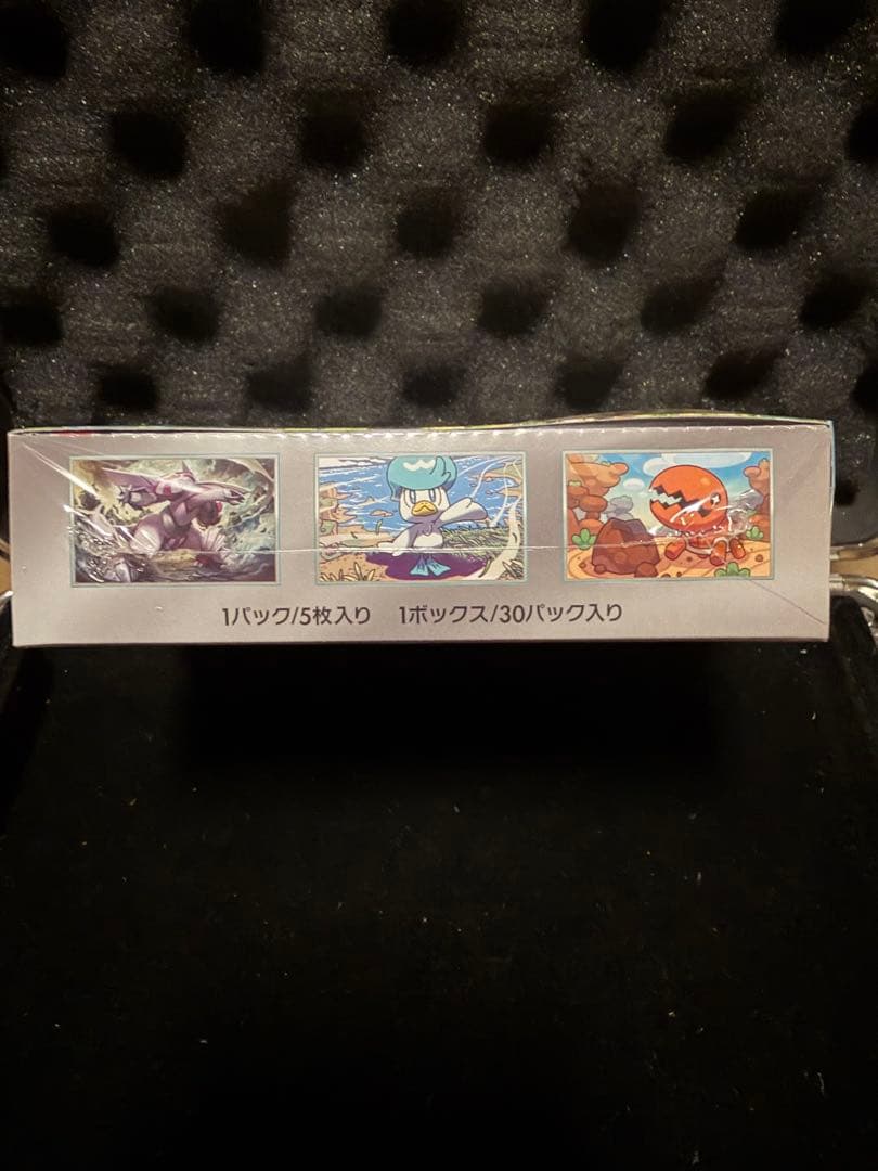 楽園ドラゴーナbox