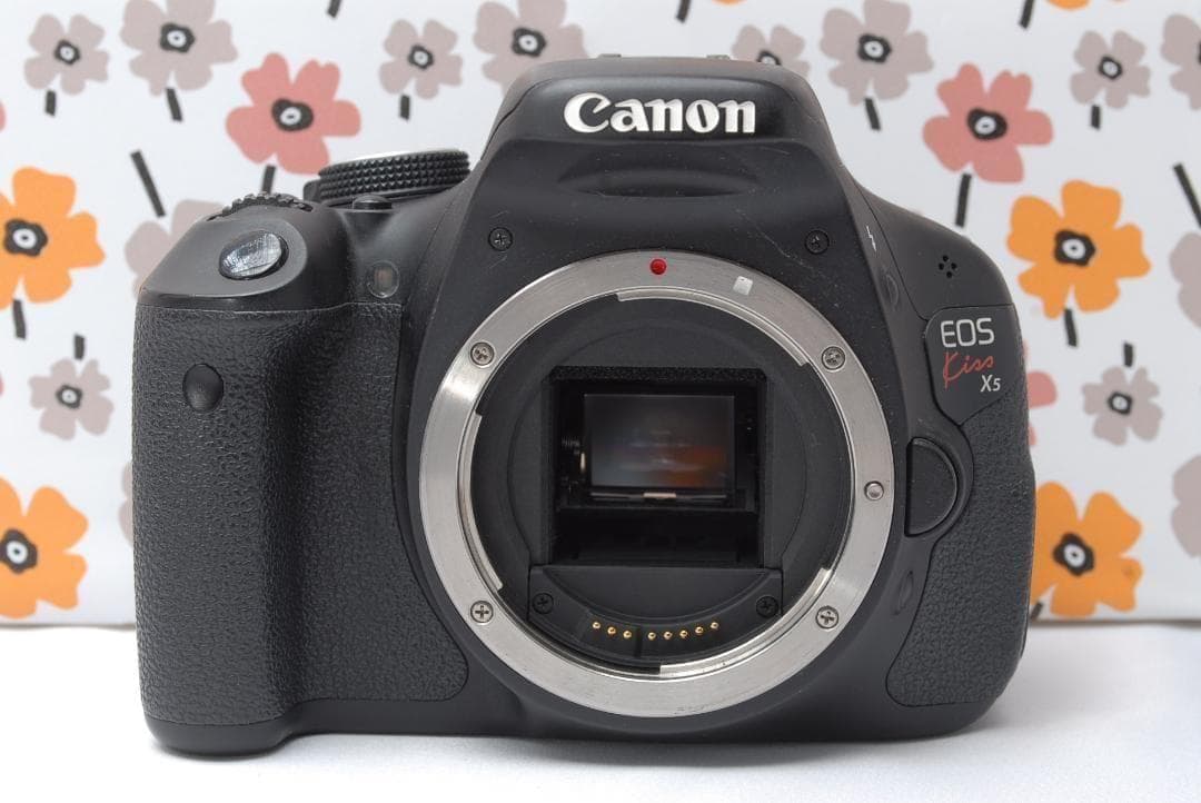 ❤Canon Kiss X5❤入門機にオススメ❤スマホ転送OK❤動画撮影もOK❤