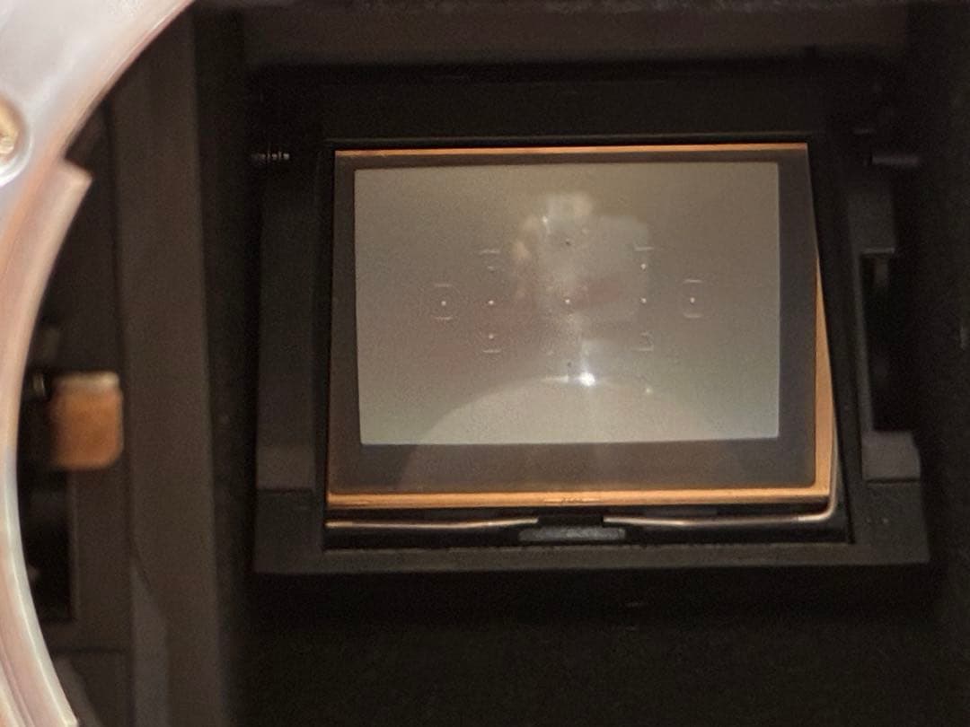 【美品】Nikon D3300 デジタル一眼レフカメラ本体(ショット数587回)